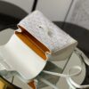 Goyard Saigon Handbag 24