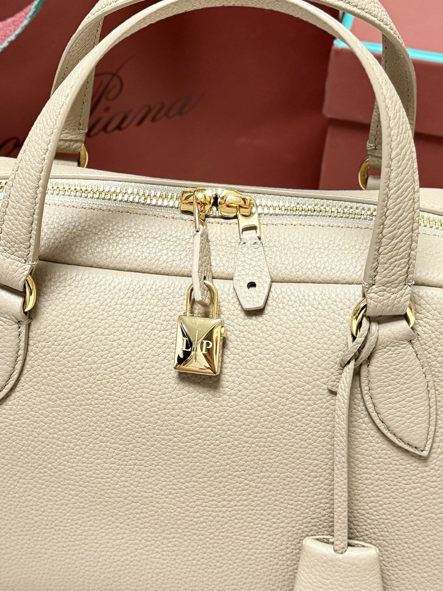 Loro Piana Needle Bag in Grained Calfskin 34