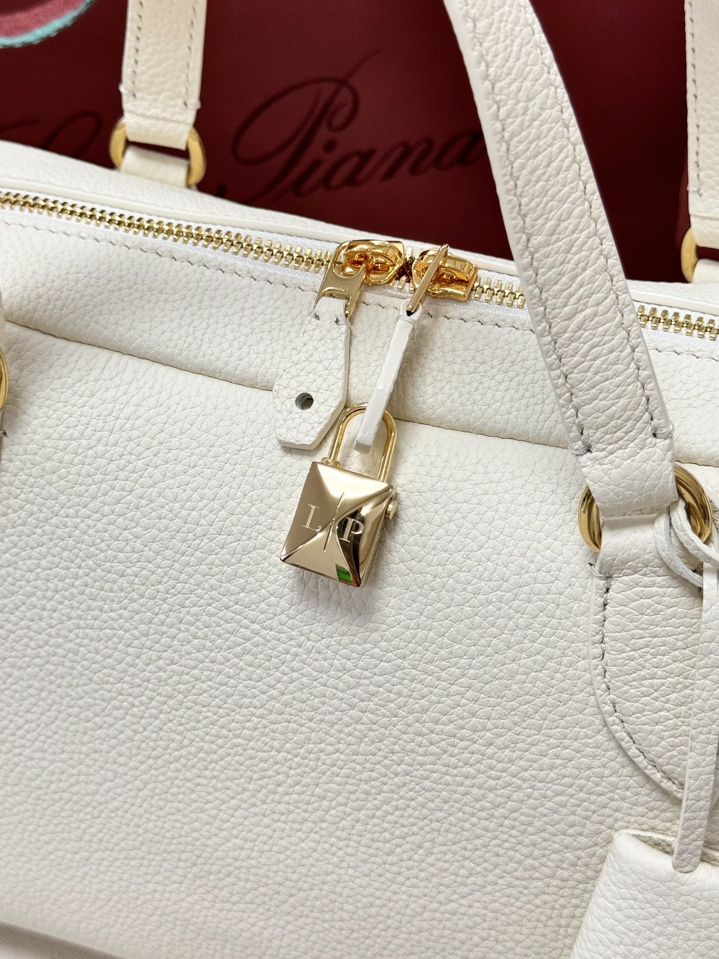 Loro Piana Needle Bag in Grained Calfskin 5