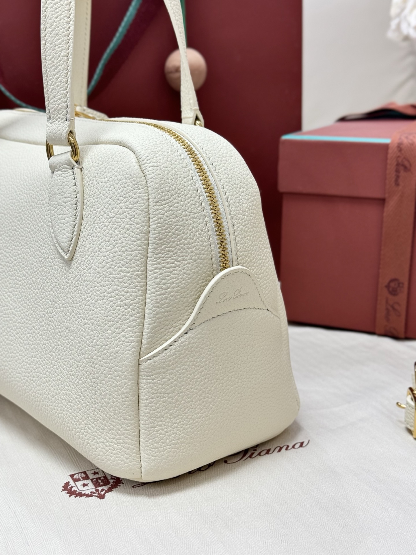 Loro Piana Needle Bag in Grained Calfskin 6