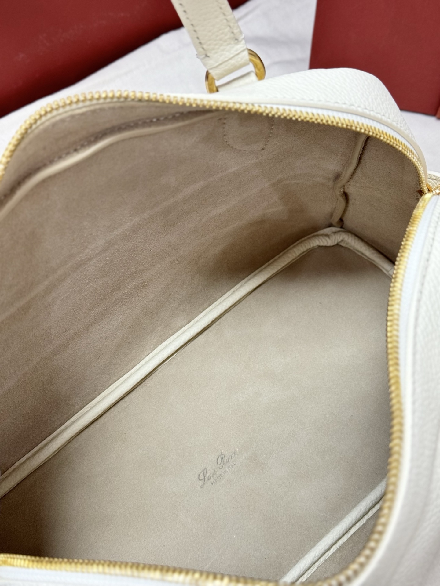Loro Piana Needle Bag in Grained Calfskin 9