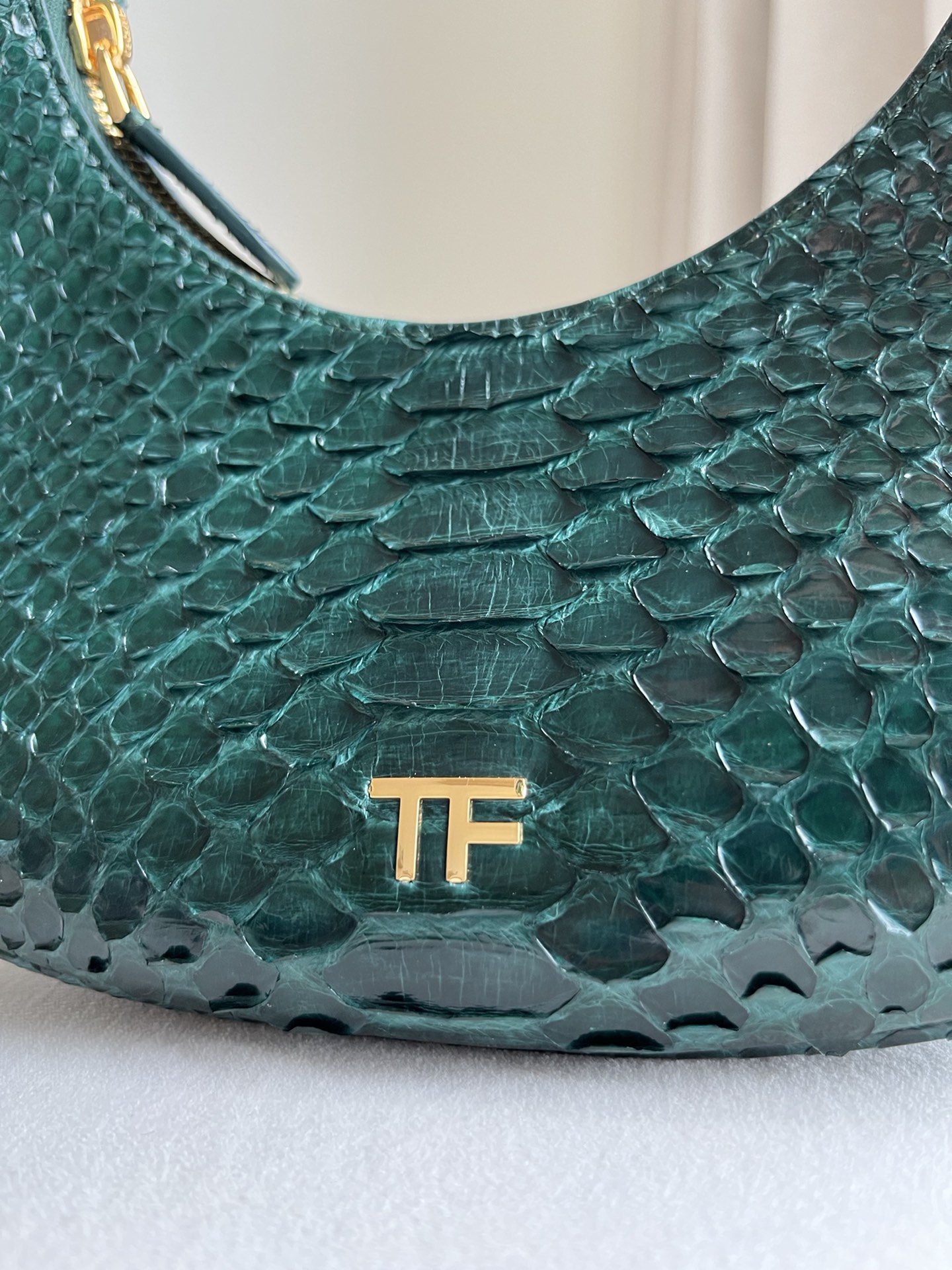 Tom Ford Bianca Mini Hobo Bag in Black Python-Embossed Leather 20