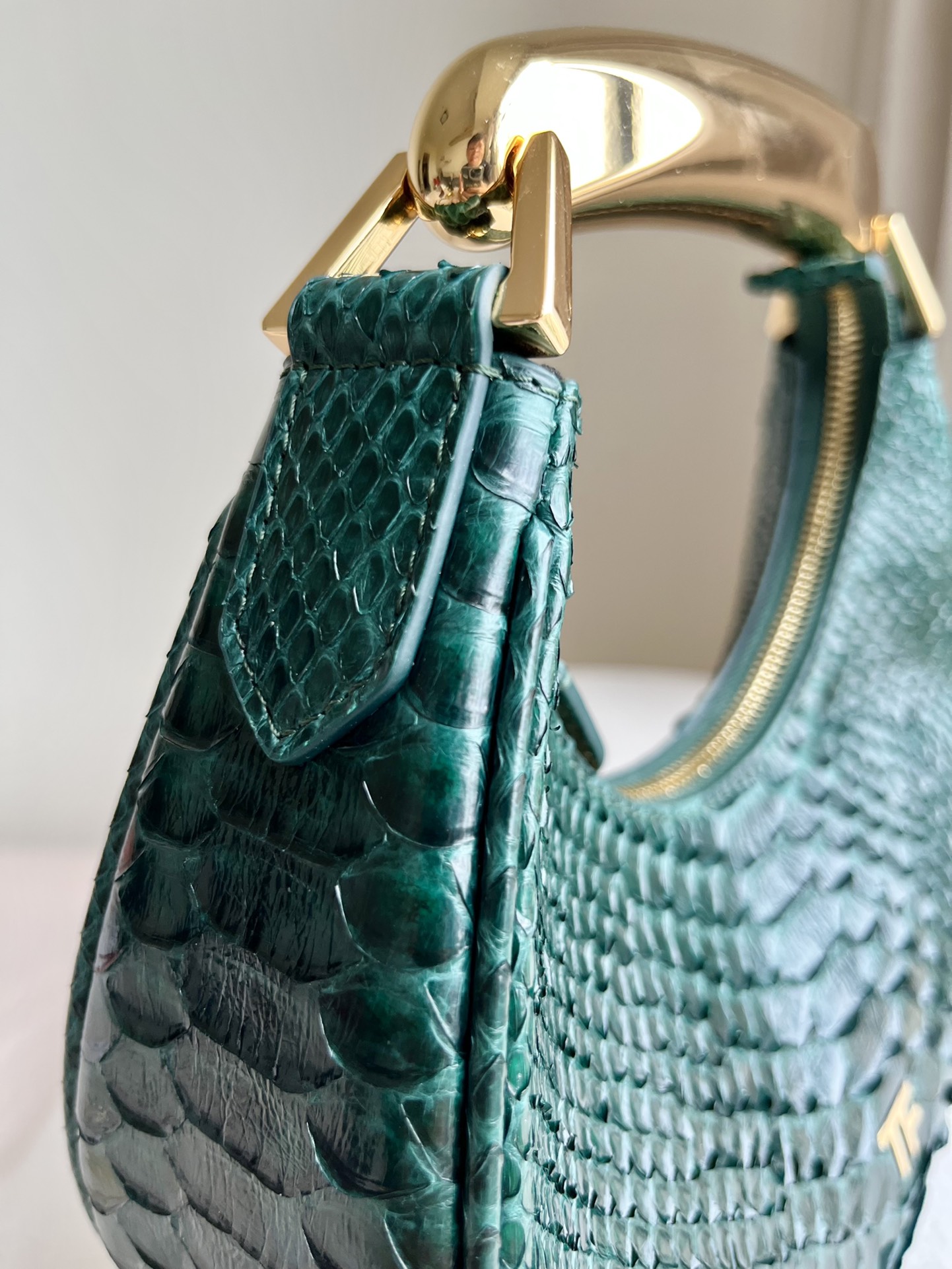 Tom Ford Bianca Mini Hobo Bag in Black Python-Embossed Leather 21