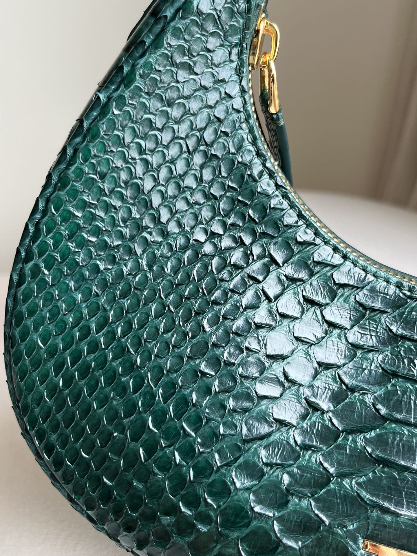 Tom Ford Bianca Mini Hobo Bag in Black Python-Embossed Leather 23